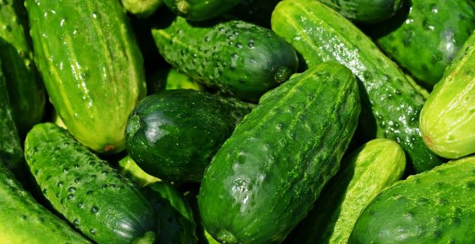 blog sulla dieta pronokalu