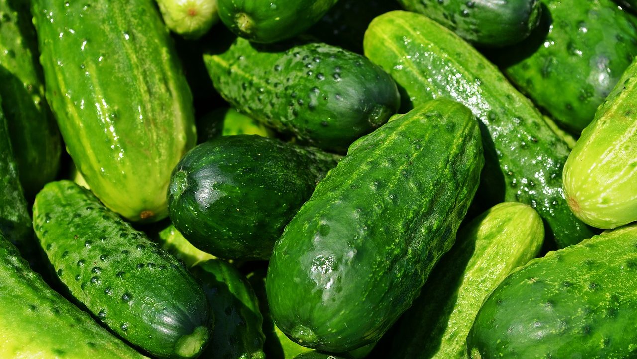 dieta pronokal prima fase