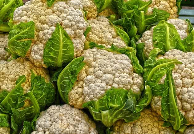 coliflor