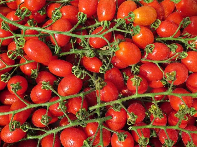 Tomate